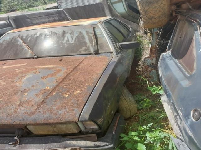 VW/SANTANA GLS 1985